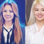 Hyoyeon Plastic Surgery